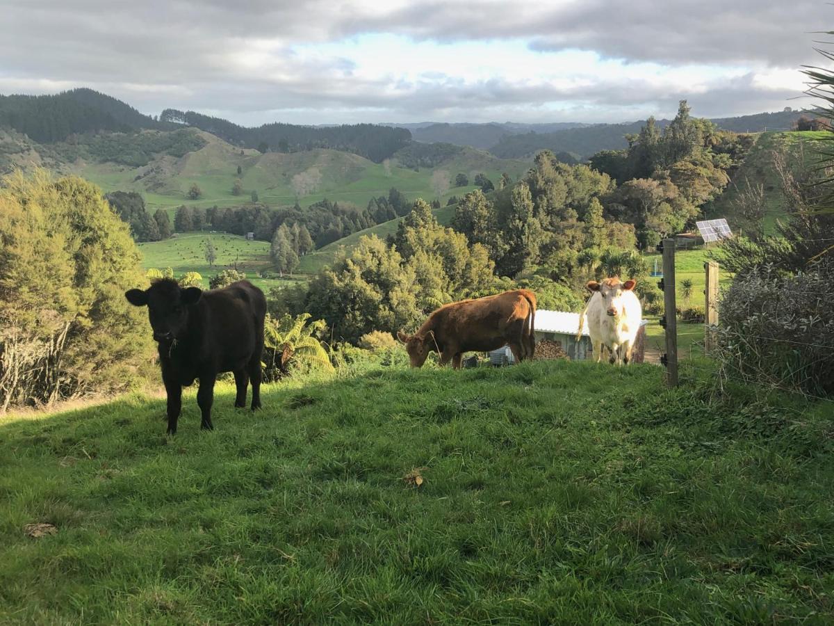 Nadarra Hideaway Bed and Breakfast Otorohanga Exterior foto