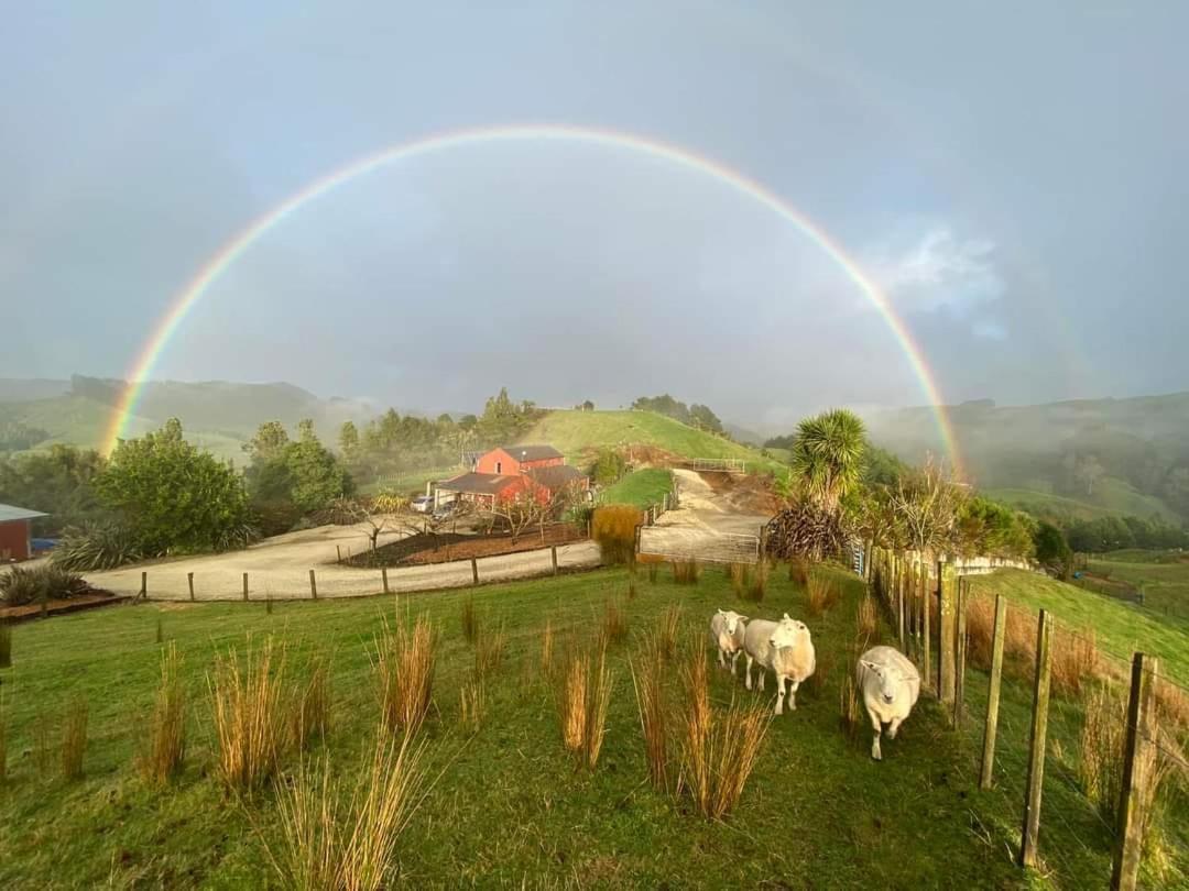 Nadarra Hideaway Bed and Breakfast Otorohanga Exterior foto